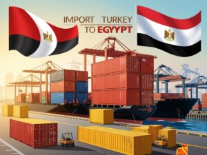 الاستيراد من تركيا الى مصر